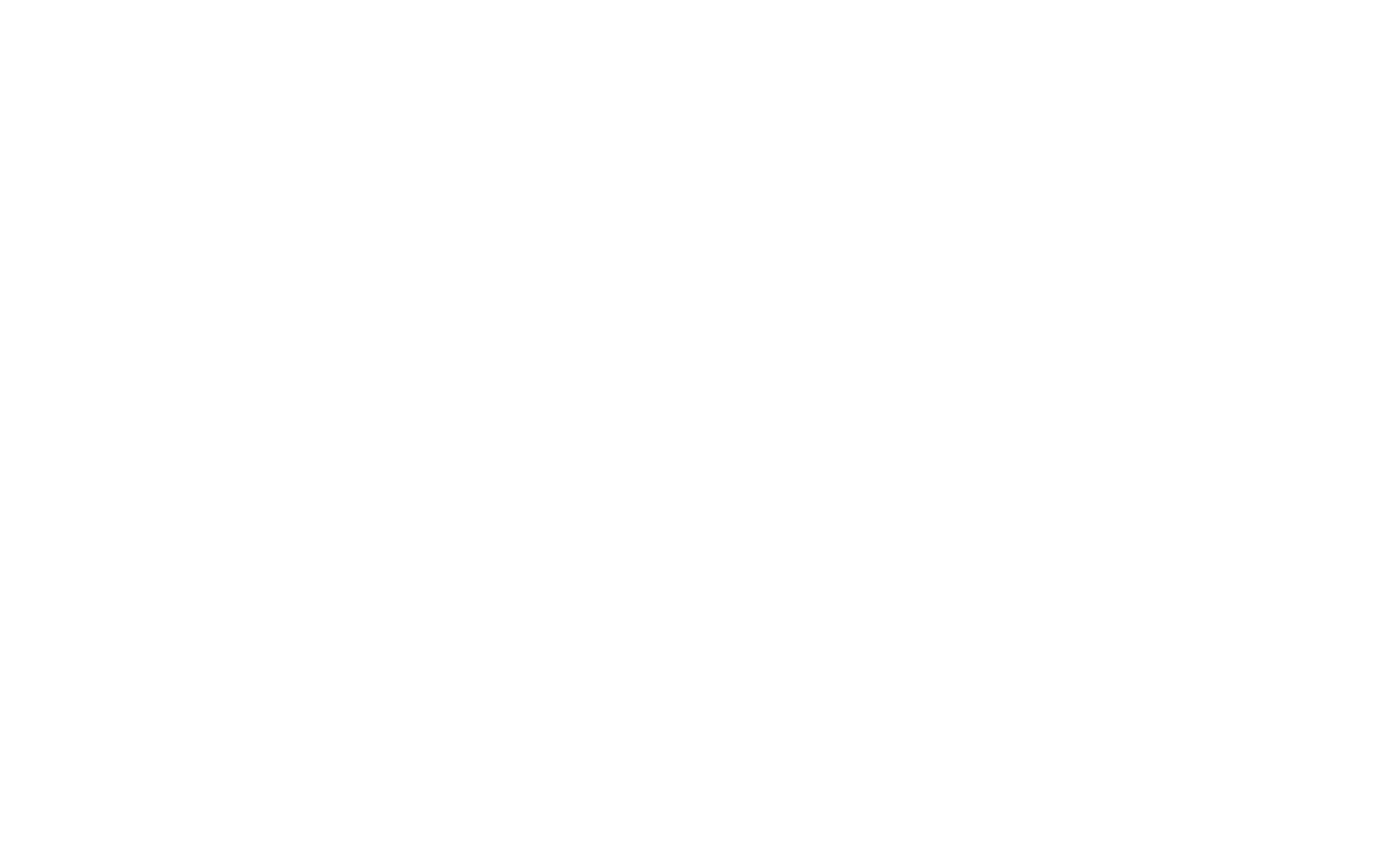 Logo 2 white.png